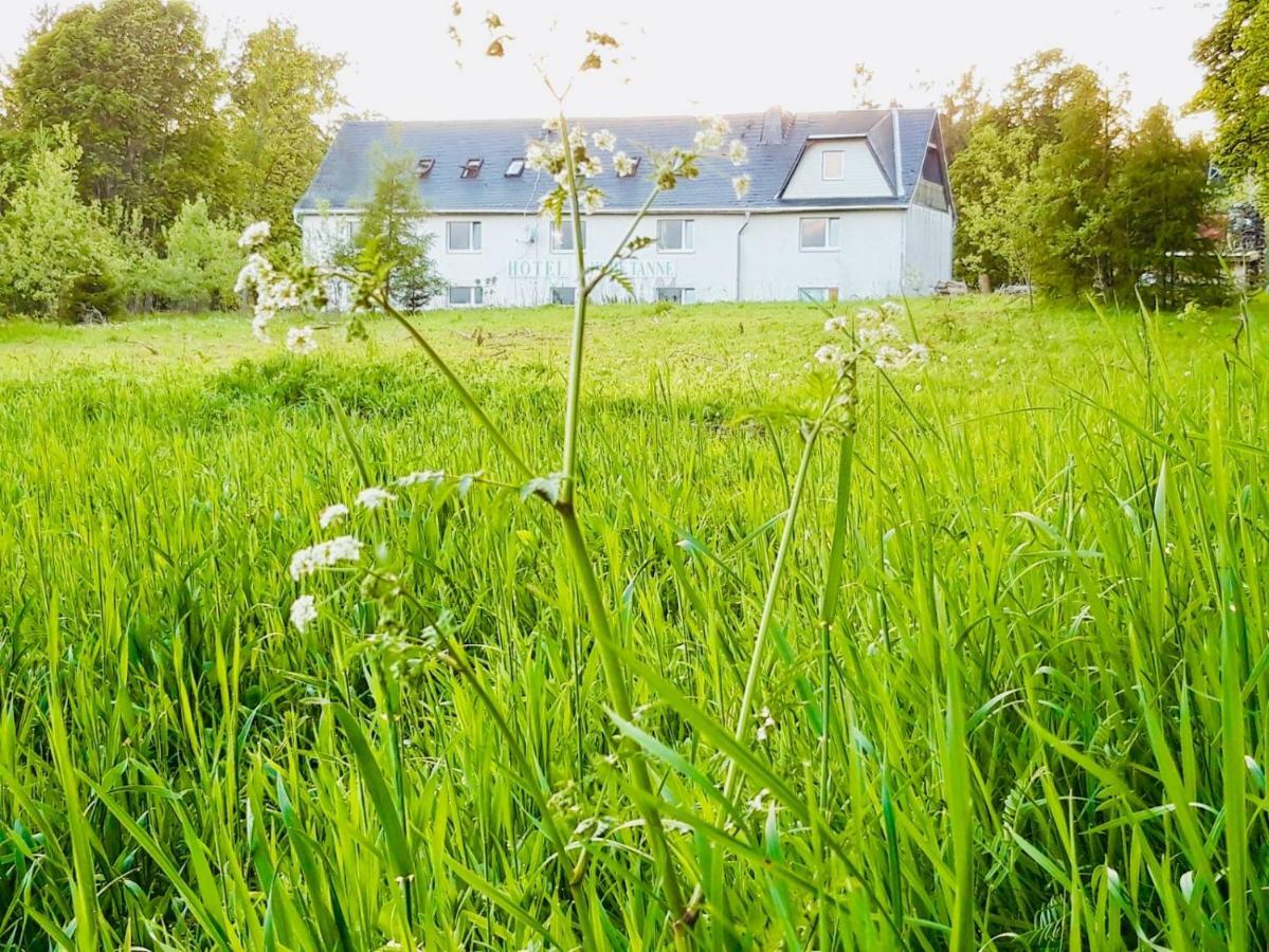 Gaestehaus Hohetanne1 Grossbreitenbach Zewnętrze zdjęcie