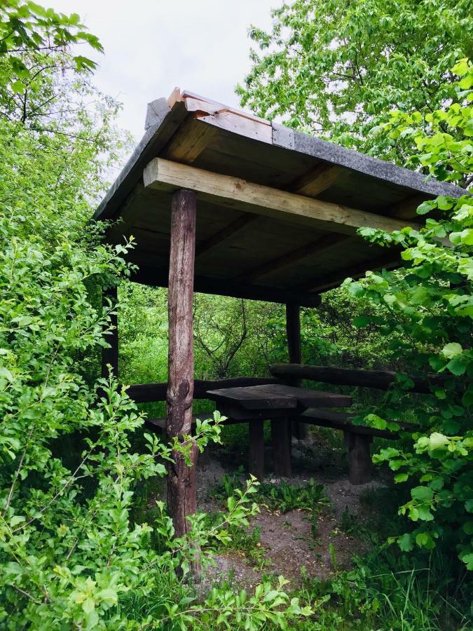 Gaestehaus Hohetanne1 Grossbreitenbach Zewnętrze zdjęcie