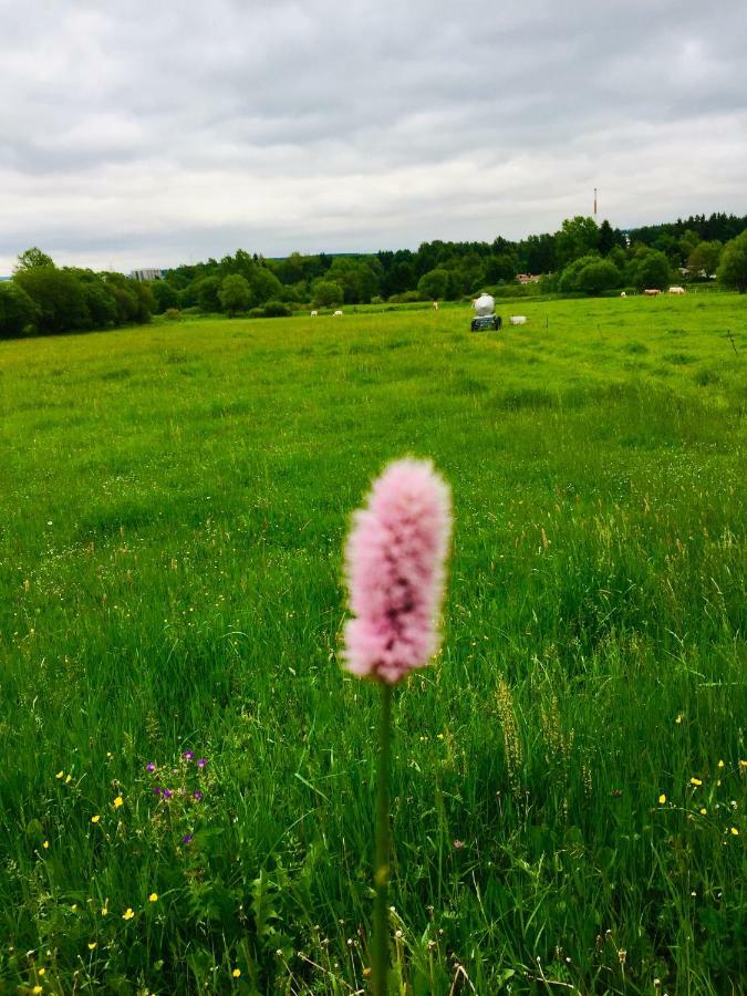 Gaestehaus Hohetanne1 Grossbreitenbach Zewnętrze zdjęcie