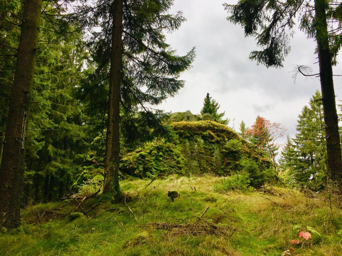 Gaestehaus Hohetanne1 Grossbreitenbach Zewnętrze zdjęcie