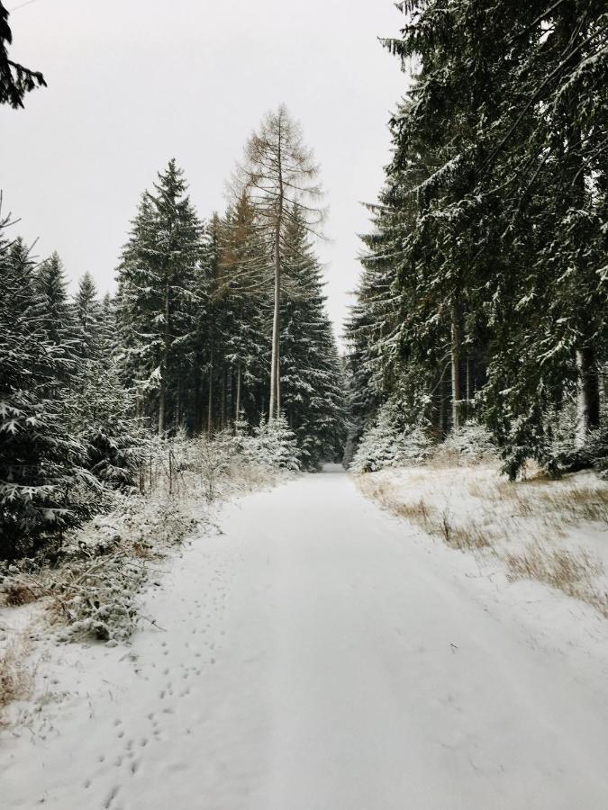 Gaestehaus Hohetanne1 Grossbreitenbach Zewnętrze zdjęcie