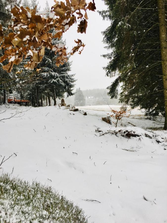 Gaestehaus Hohetanne1 Grossbreitenbach Zewnętrze zdjęcie